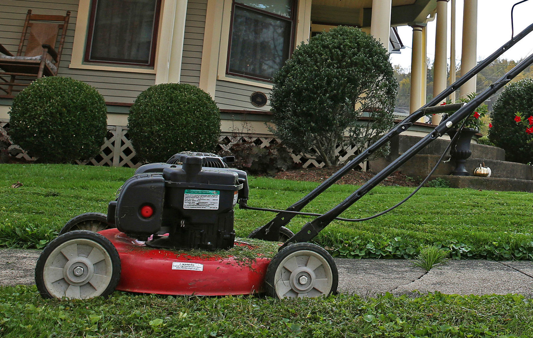 Yard care